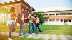 Read more about the article Networking: Your Key to Career Advancement